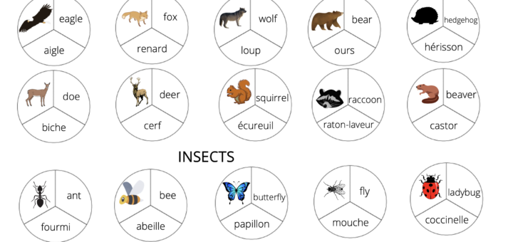 Apprendre le vocabulaire des animaux en anglais