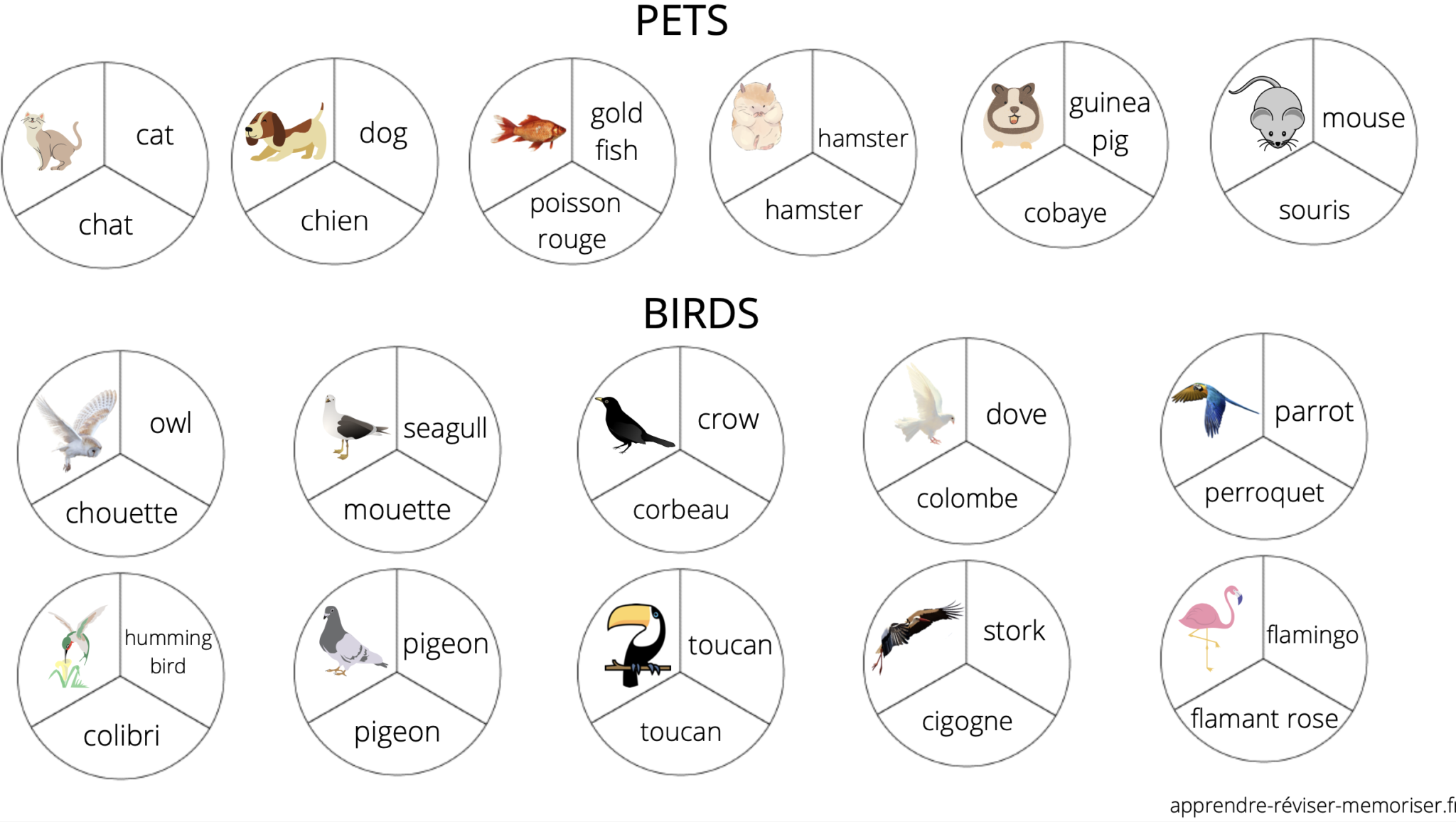 Un jeu pour apprendre le nom des animaux en anglais
