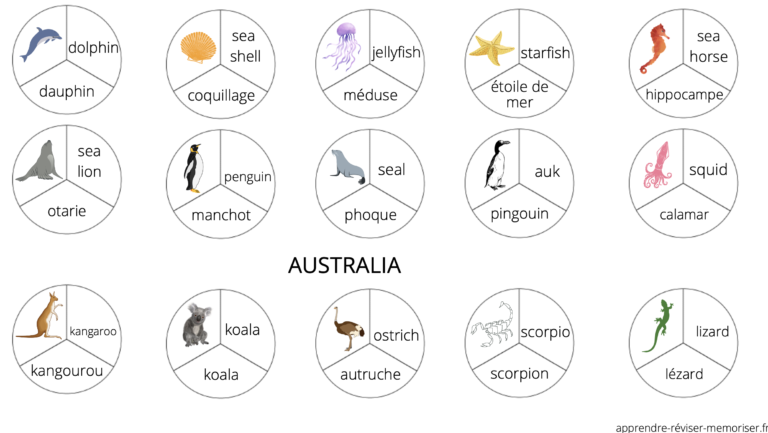 Un jeu pour apprendre le nom des animaux en anglais