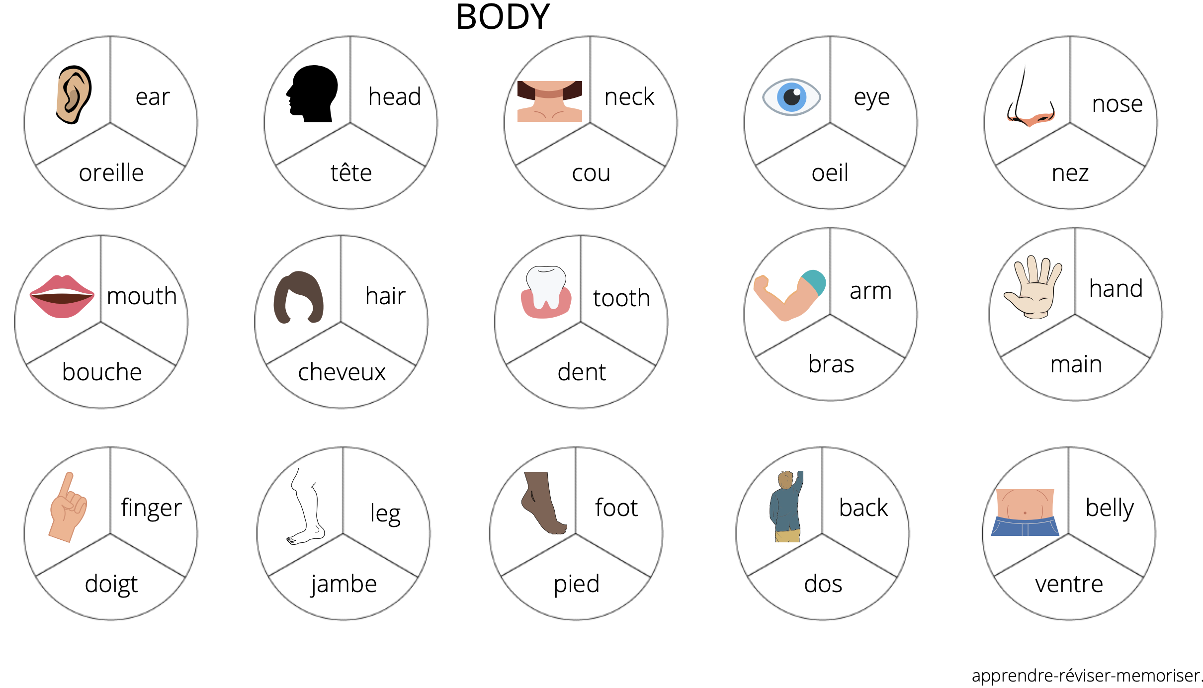 Mots en anglais un jeu pour apprendre du vocabulaire courant (fruits