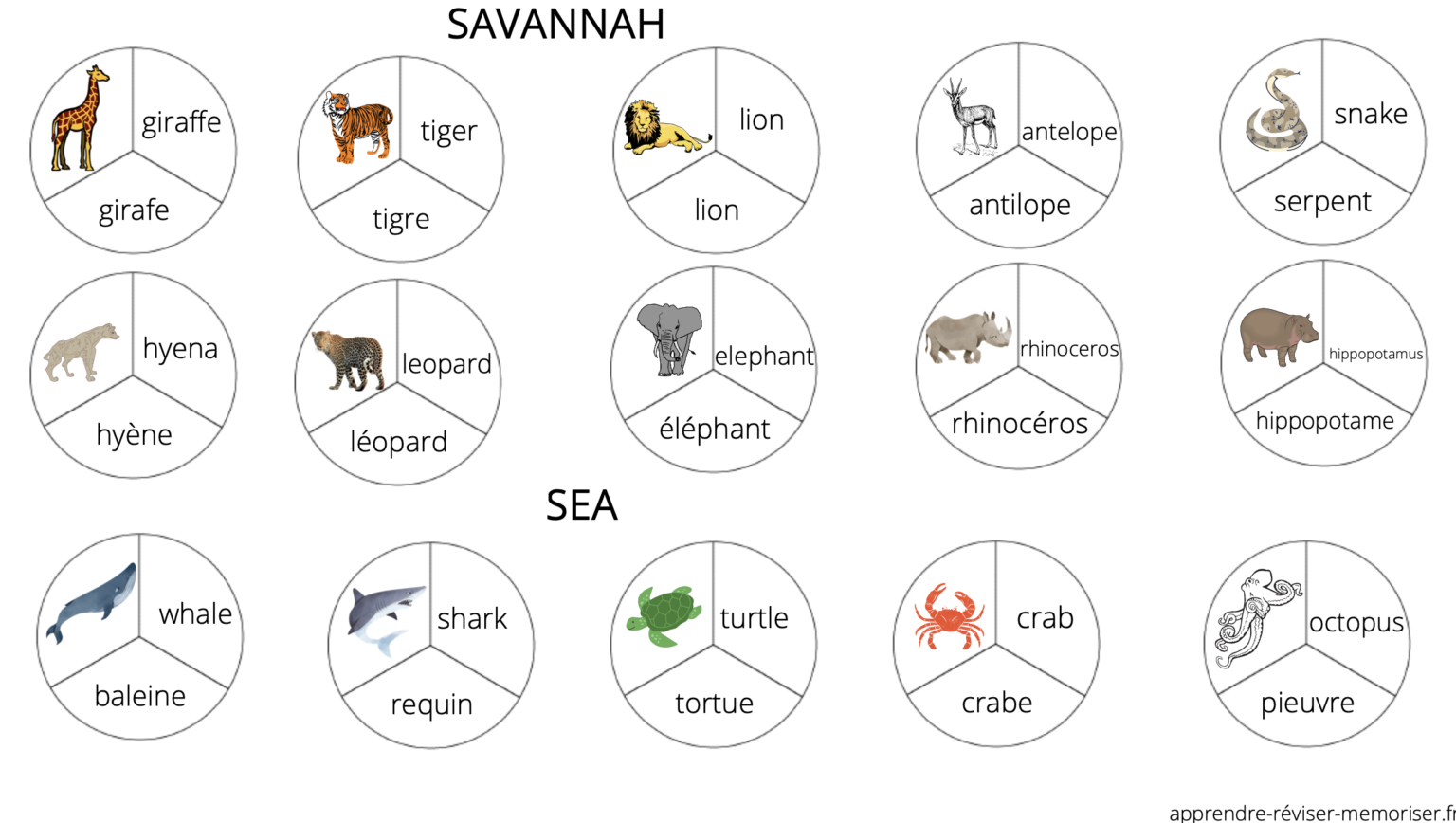 Un jeu pour apprendre le nom des animaux en anglais