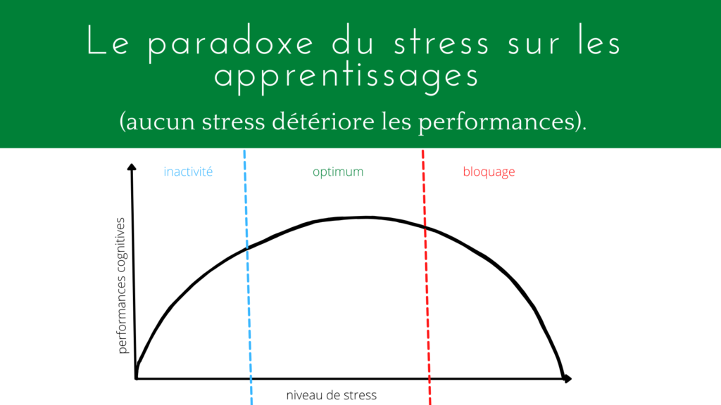 paradoxe stress apprentissages