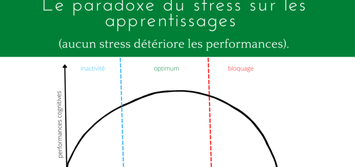 paradoxe stress apprentissages