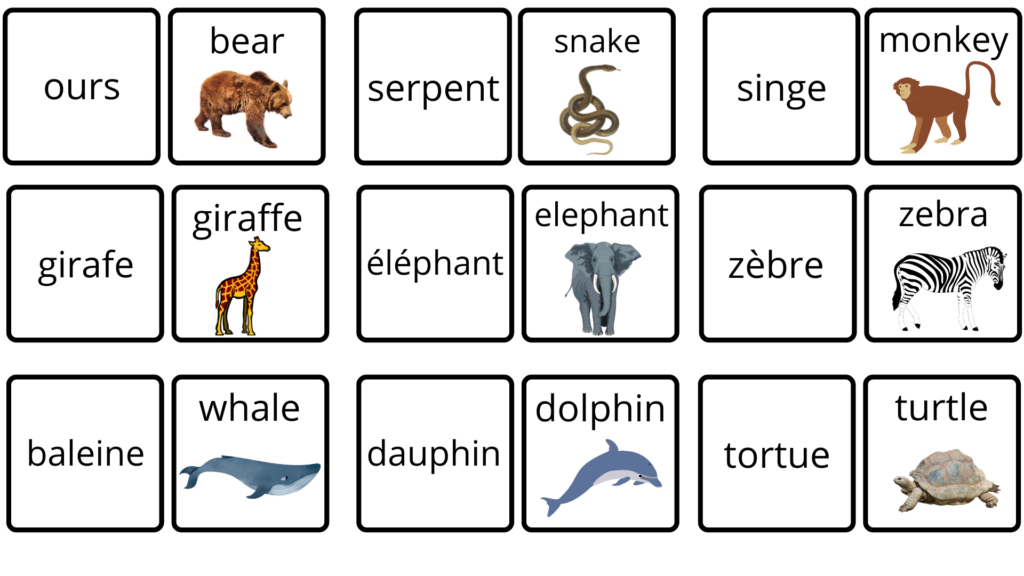 cartes vocabulaire animaux anglais