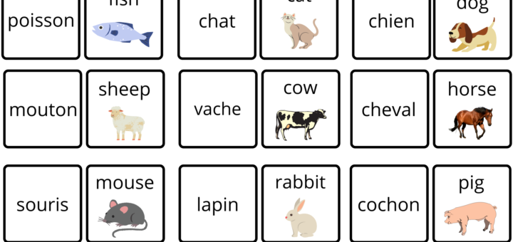 cartes vocabulaire animaux courants anglais