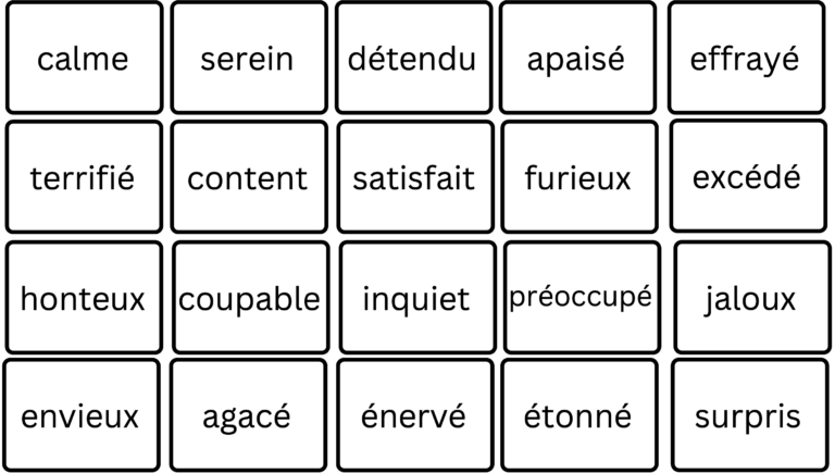 Memory des synonymes des émotions : 50 cartes pour travailler le ...