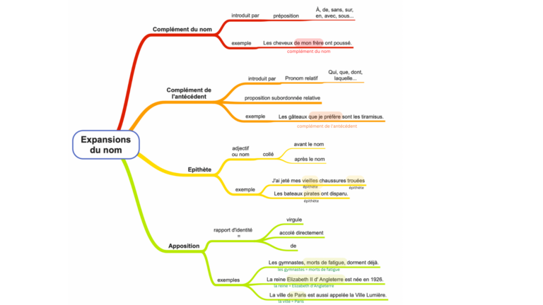 évaluation Expansion Du Nom 5ème Avec Correction Carte mentale des expansions du nom (fonctions grammaticales du nom)