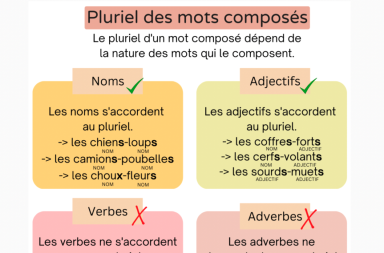 Une Affiche Sur Les Regles Du Pluriel Des Mots Composes - Apprendre ...