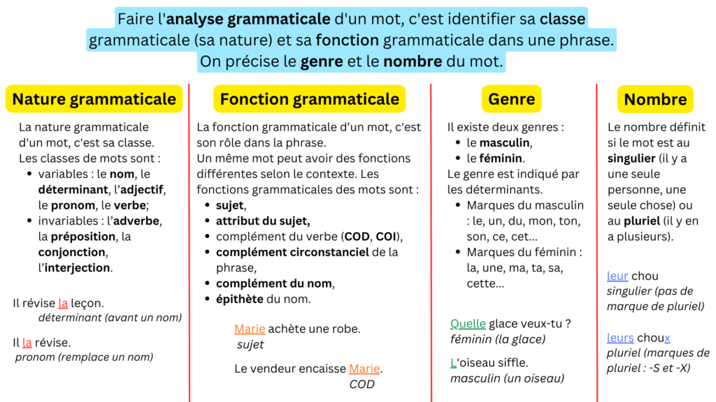Analyse grammaticale d'un mot en français 