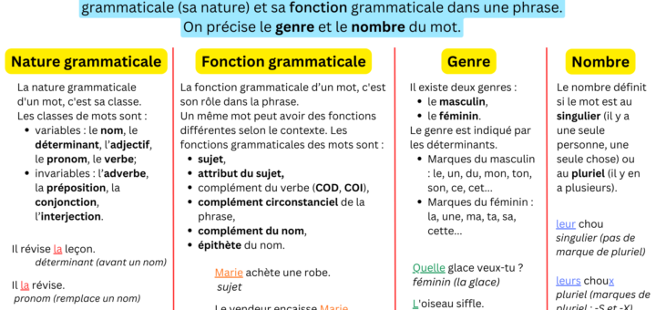 Analyse grammaticale d'un mot en français