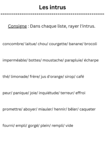 jeux de vocabulaire intrus français