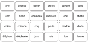 cartes paires nom des animaux féminin masculin