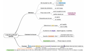 carte mentale adjectif qualificatif épithète