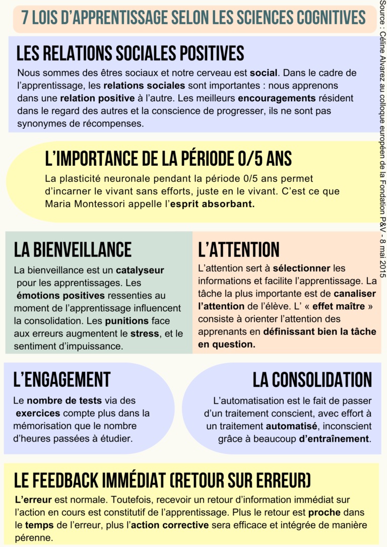 7 Grands Principes D’apprentissage Et D’épanouissement Humain