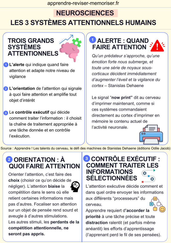 attention élèves neurosciences