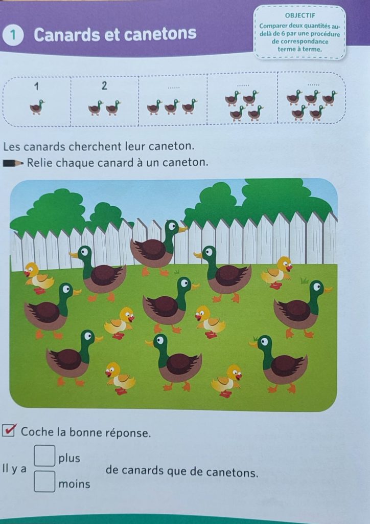 cahier Maths avec Singapour