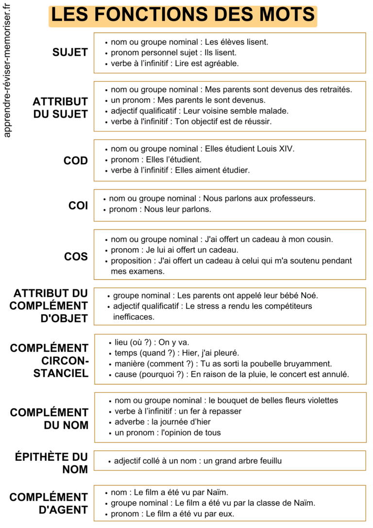 Les fonctions des mots (les fonctions grammaticales en français)