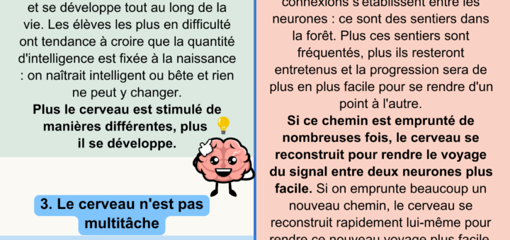 apprendre avec les neurosciences