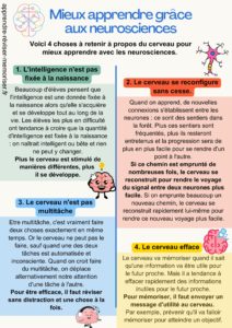 apprendre avec les neurosciences - Apprendre, réviser, mémoriser