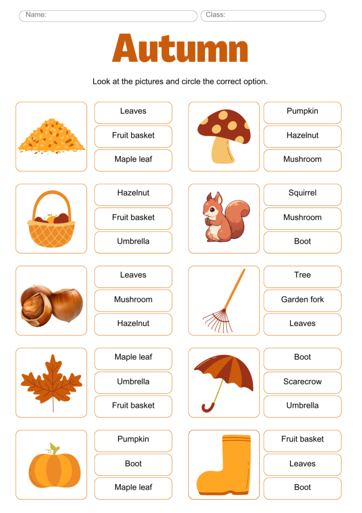 exercices de vocabulaire anglais automne