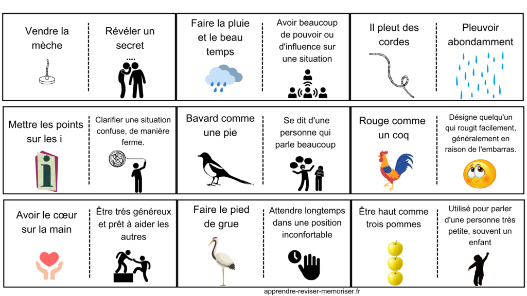 Expressions idiomatiques courantes en français