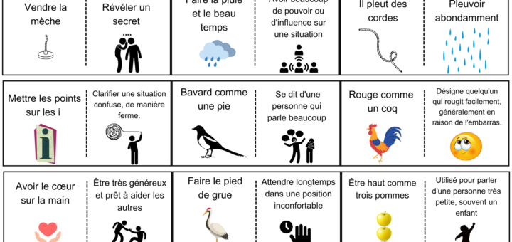 Expressions idiomatiques courantes en français