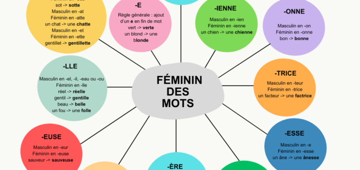 féminin des mots