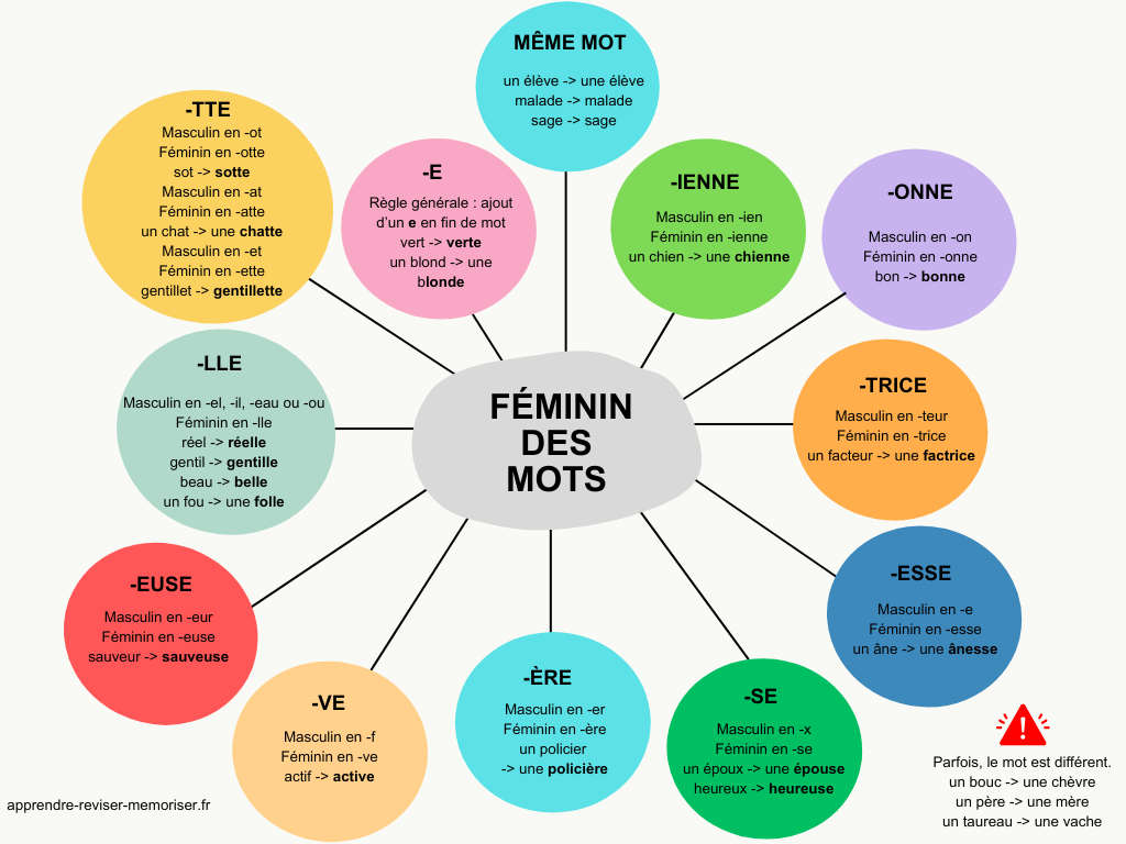 féminin des mots