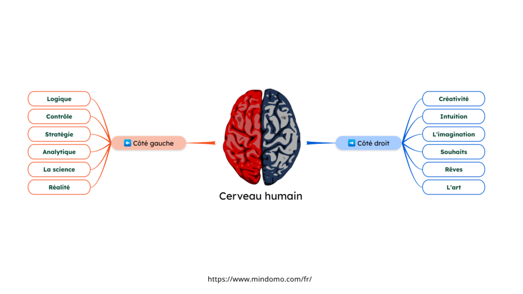 créer carte mentale