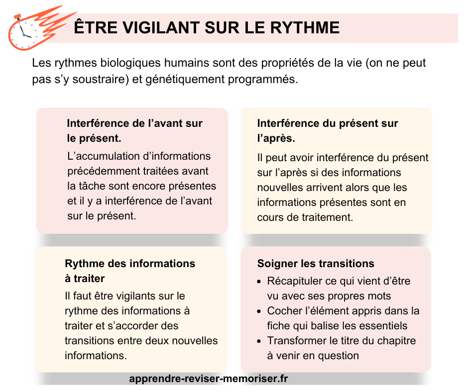 rythmes biologiques concentration