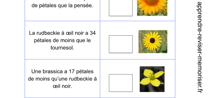 jeu nombres cycle 2