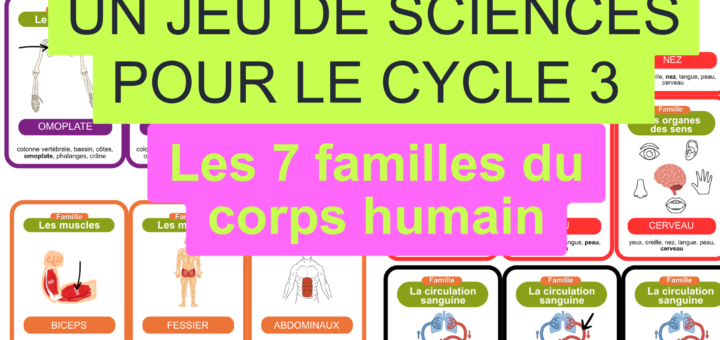 7 familles du corps humain
