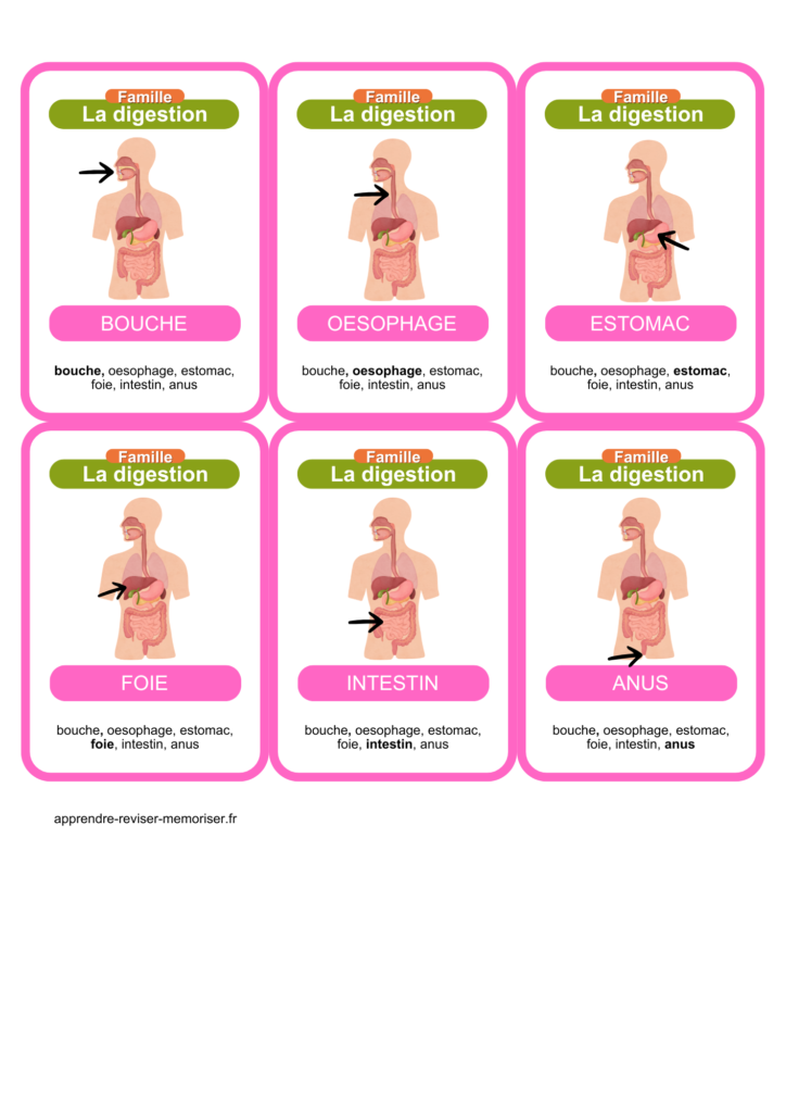 jeu 7 familles sciences