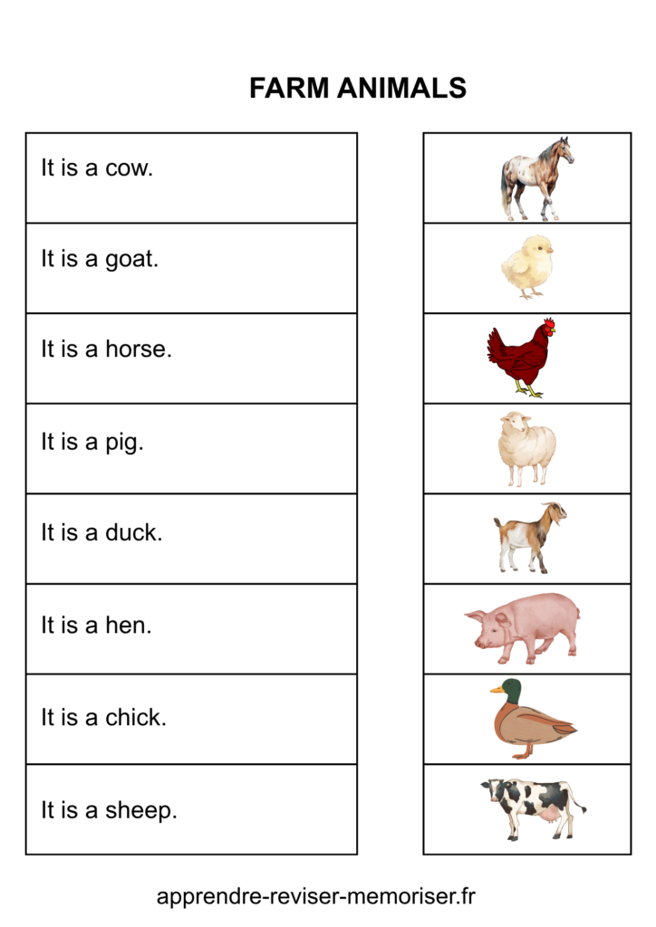 fiche anglais images