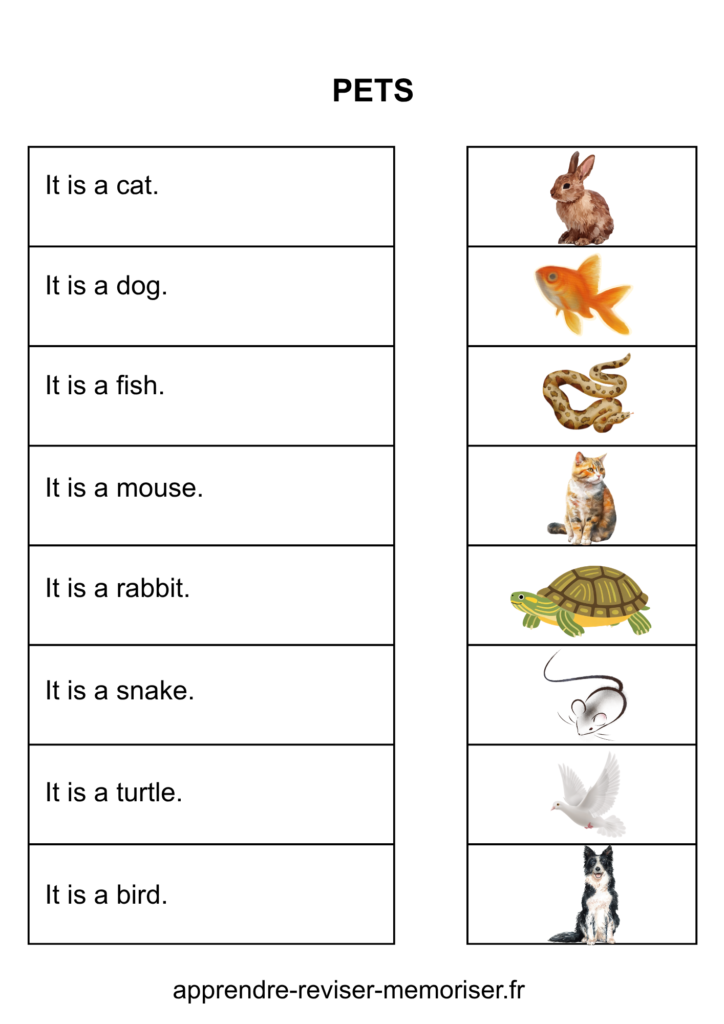 images anglais enfants