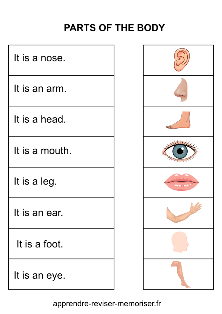 vocabulaire anglais images